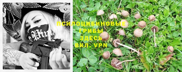 ГАЛЛЮЦИНОГЕННЫЕ ГРИБЫ Алексеевка